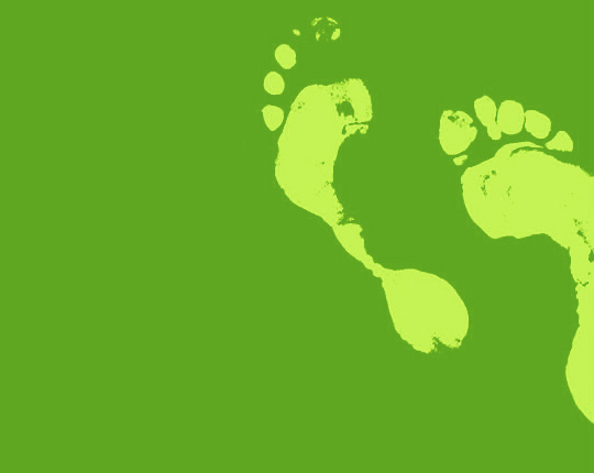 carbon fuelprint footprint